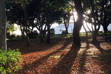 A crisp fall day.