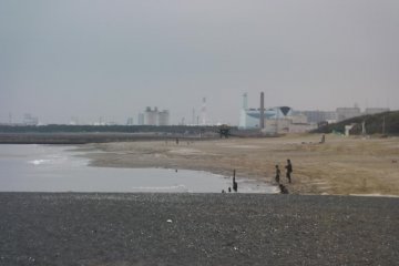 A busy December day at the beach