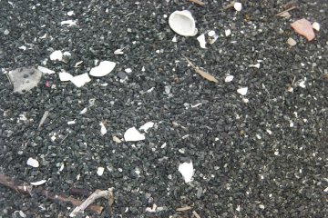 Underfoot