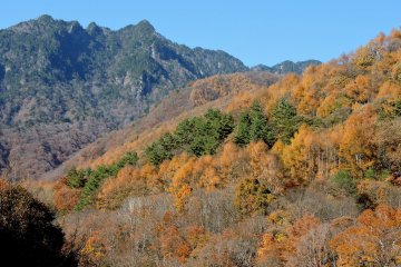 Randonnée Automnale à Nishizawa