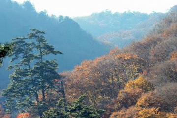 Randonnée Automnale à Nishizawa