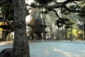 Erinji Temple in Autumn