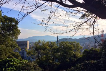 Tokushima University Area