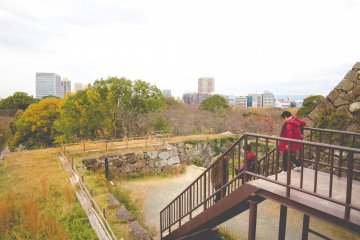 Views of the city from the viewing deck