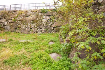 It was very interesting to see the castle walls being taken over by nature