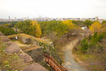 More views of the nature surrounding the ruins