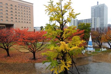 Autumn in Yokohama's Minato Mirai 
