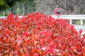  The first of many colorful sights when approaching from the main road