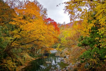 Ranzan Valley awaits you