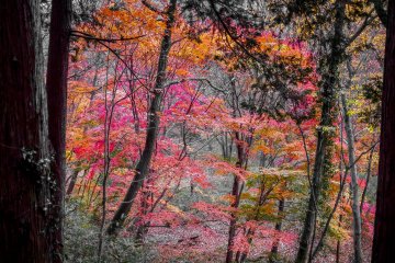 The colors then change from dark red to dark orange