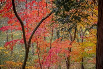  Bright sights in all directions