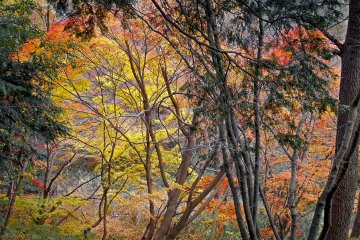   The Autumn season is perhaps one of the best times to visit this area