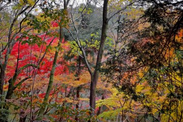 In the distance lies Mount Ohira-yama