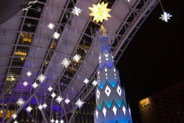 A beautiful Christmas tree of light!