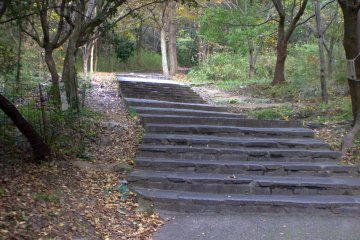 The first steps of the hike