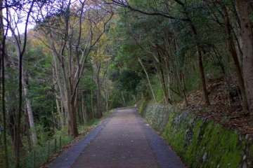 The whole way up the forested path is well paved and spacious. Many people like to hike the trail and there are even some trail runners.