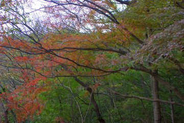 Fall was a great time to visit