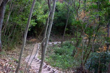The side trail up to the castle ruins is more narrow and quite a bit steeper