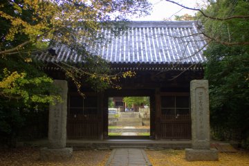 Hiking Yashima Plateau