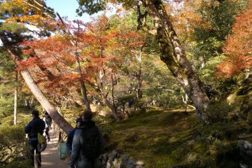 Ah, this is it! Ginkaku-ji’s full autumn foliage viewing