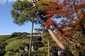 Mixed with the sky’s blue, the views in Ginkaku-ji during autumn will be even richer in color