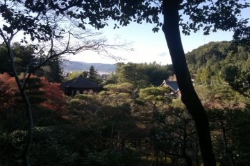The main building seen from the hill on the back of the temple complex