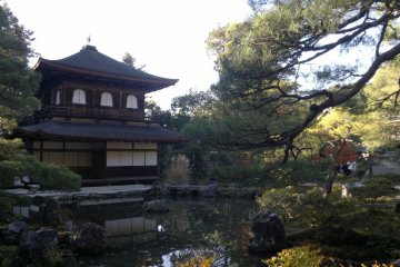 One last look before leaving Ginkaku-ji. I wish I visited a bit later when it’s all yellow, red, and orange in this temple.