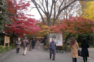 Autumn colors bursting out of the entrance area