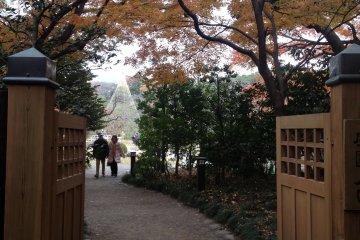 Koishikawa Korakuen’s beauty is calling