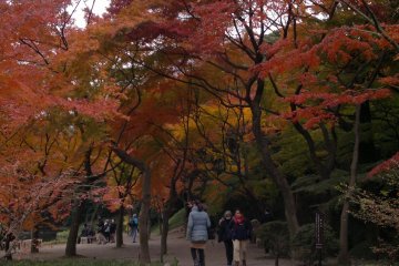 The walking trail starts from the front gate