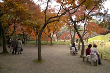 Sitting places for visitors to completely enjoy the garden