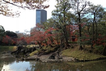 Buildings in the distance remind everybody that the garden is still in the city center