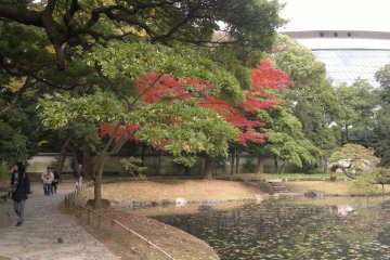 Tokyo Dome peeking from the garden’s backside