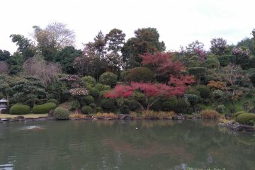 Goshoji Temple 78 