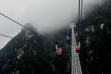 Spanning a great gorge, some moments for those with a fear of heights can be a bit tense