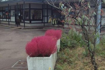 Beautiful plants, charming buildings, and traditional spirit are Tezukuri-Mura's trademarks.