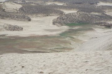 Sand Dunes from top of hill