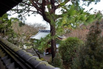 The quiet temple grounds are surrounded by trees