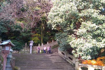 The Steps