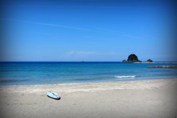 <p>Des planches de surf et de paddle bordent la plage</p>