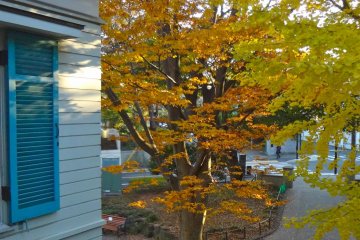 An afternoon in autumn