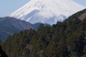 Close up of Mt. Fuji and the Hakone Jinja Shrine Gate