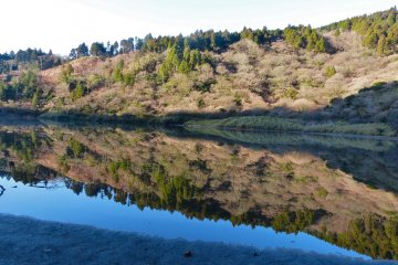 Early in the morning, Shojin-ike pond is exactly like a mirror