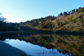 The bank of the pond