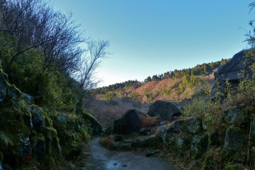 A path leading to the pond