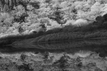 Silent and calm in the early morning