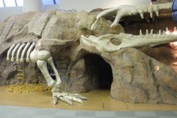 Dinosaur indoor playground
