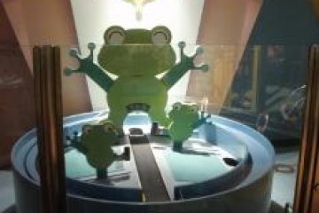 Frog soccer game