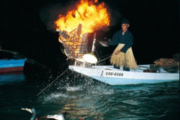 Cormorant fishing at night