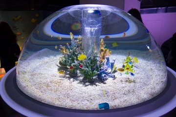 A l'intérieur du Kaiyukan ! Le magnifique aquarium d'Osaka